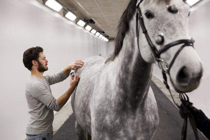 Szybkie kamery — co to jest?